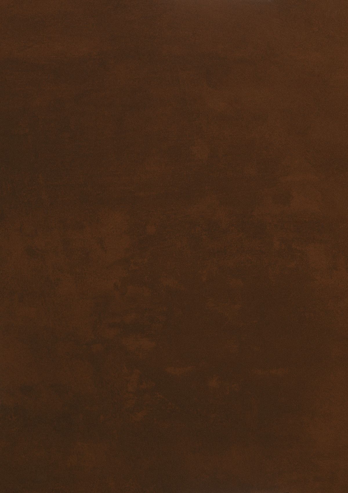 0028 Prado Brown