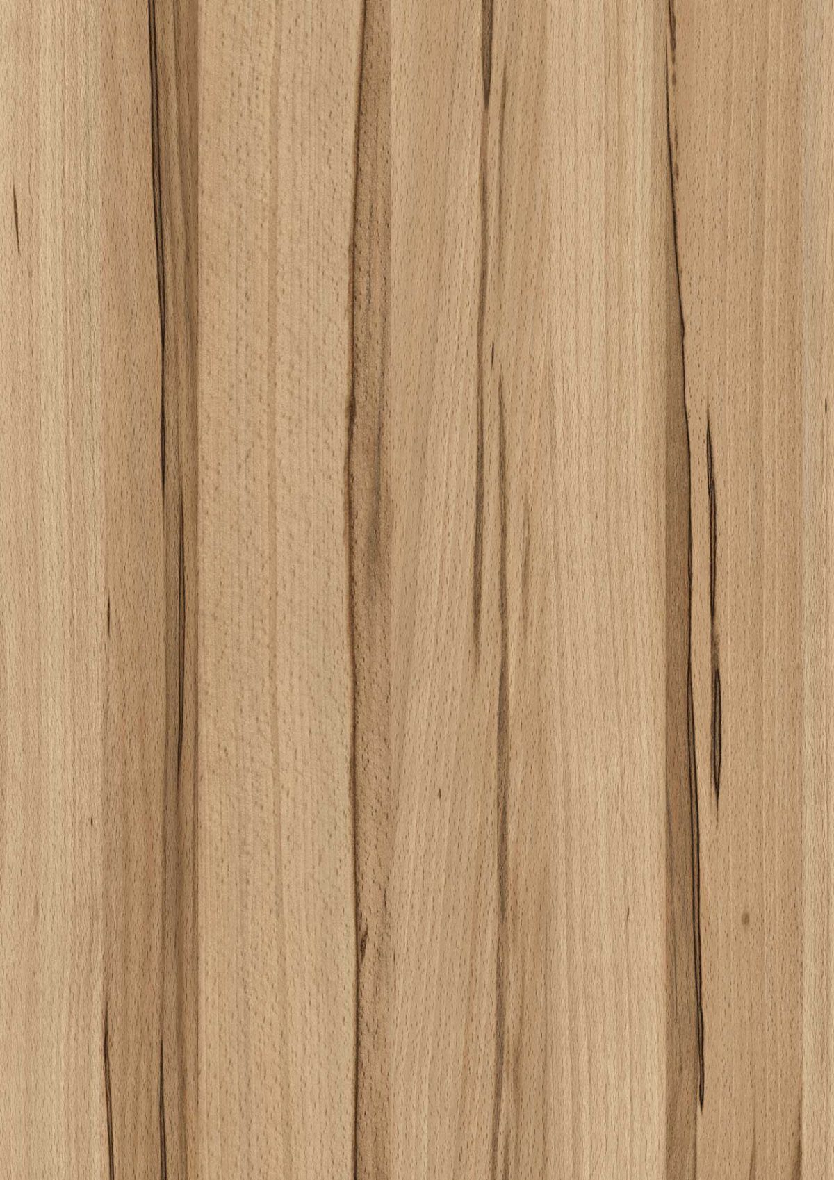 0047 Wild Beech