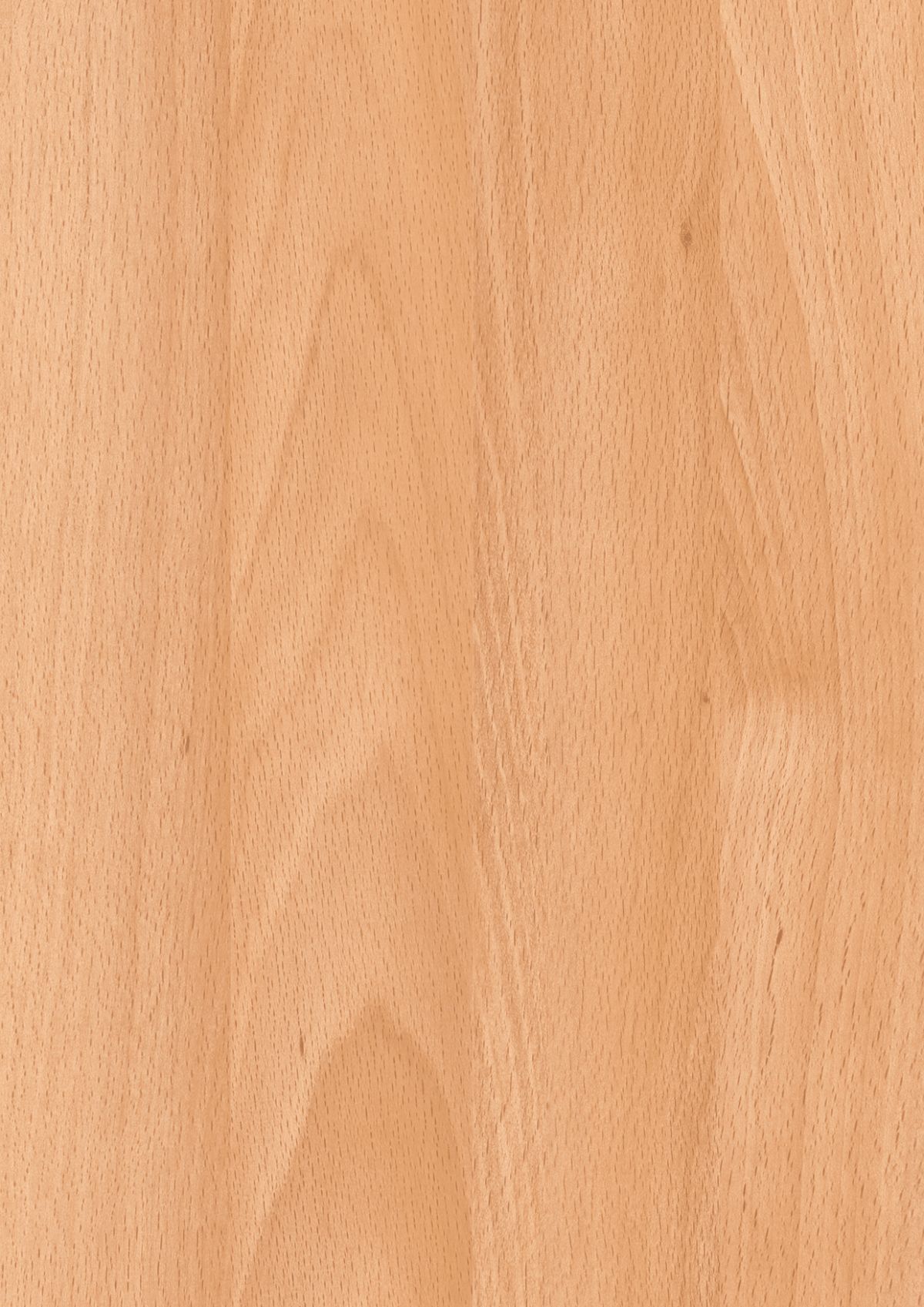 0157 Obir Beech