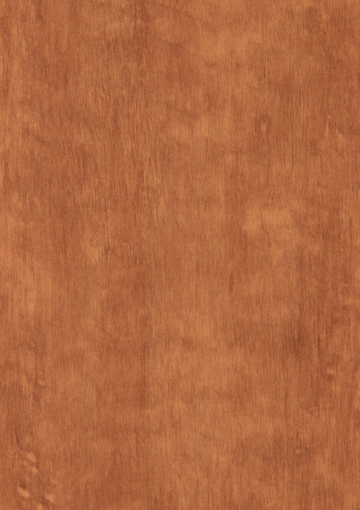 0161 Light Afro