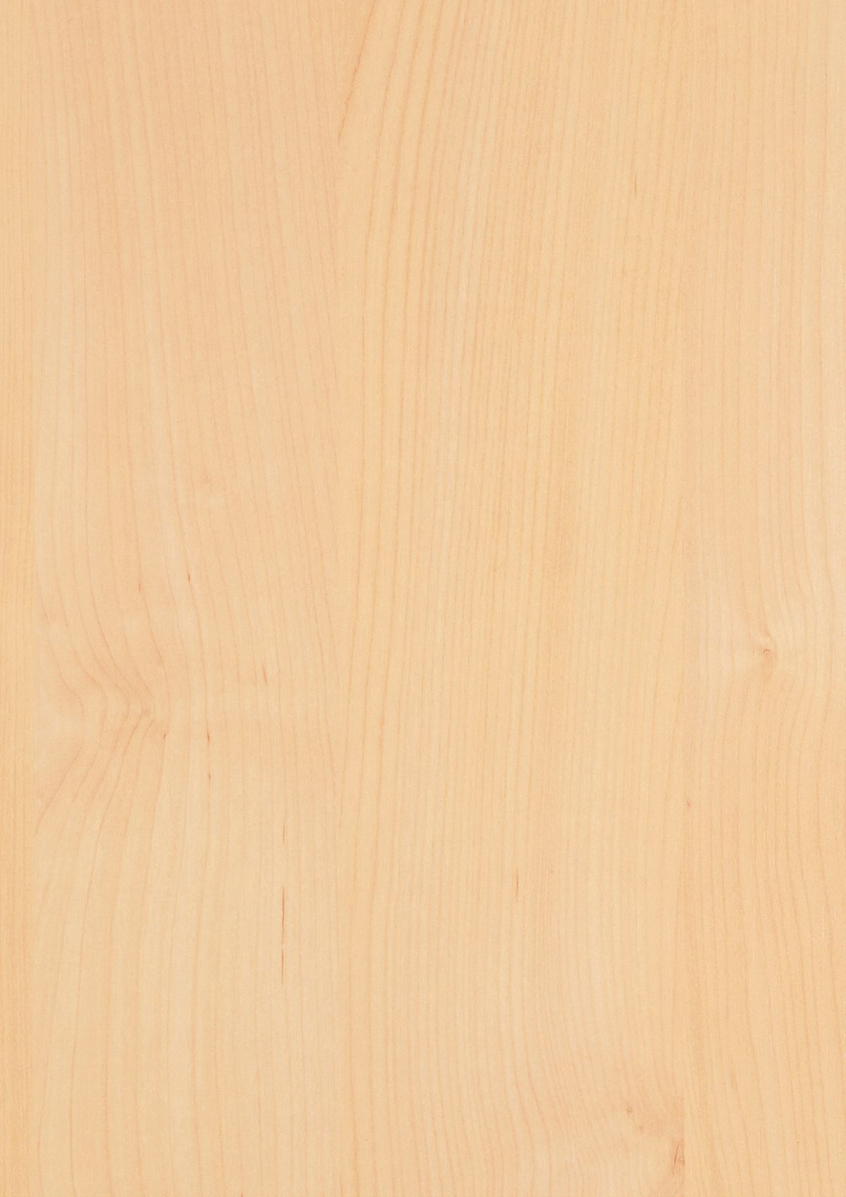 0171 Tundra Birch