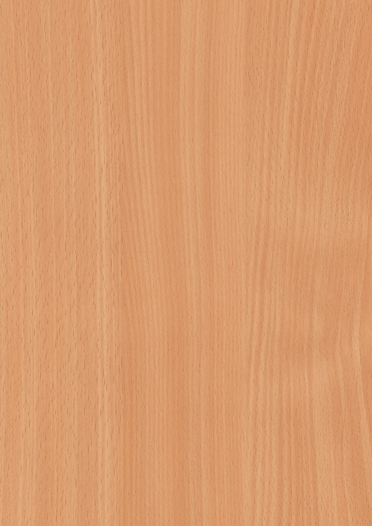 0291 Beech II