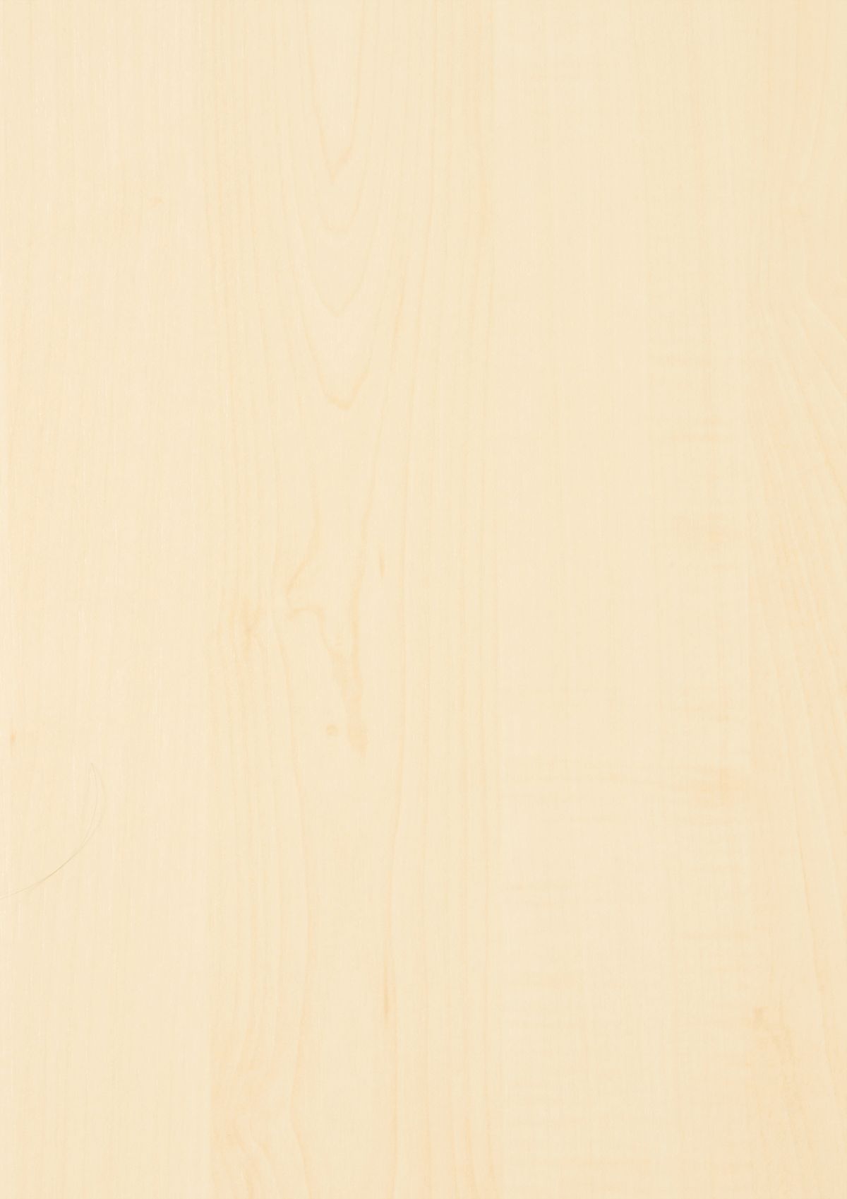 0412 Danube Maple