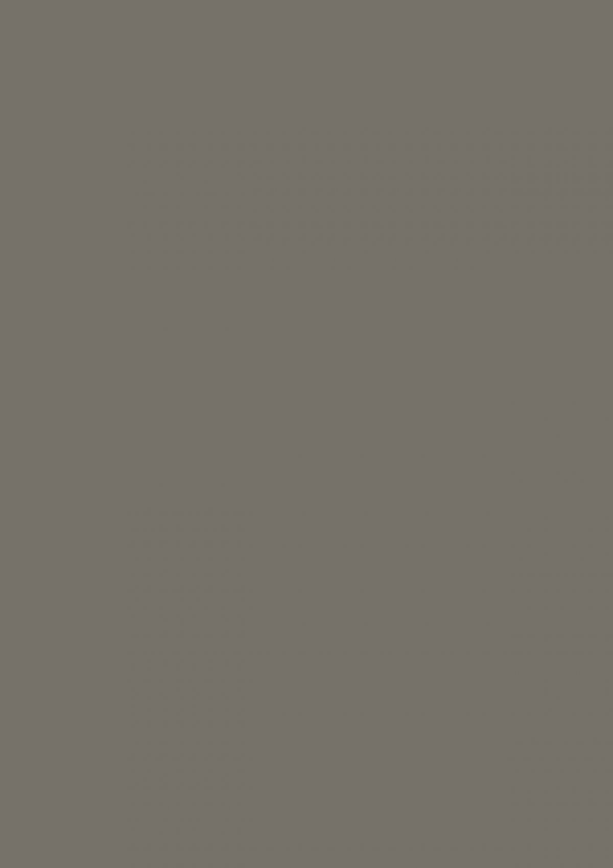 0755 Warm Grey Dark