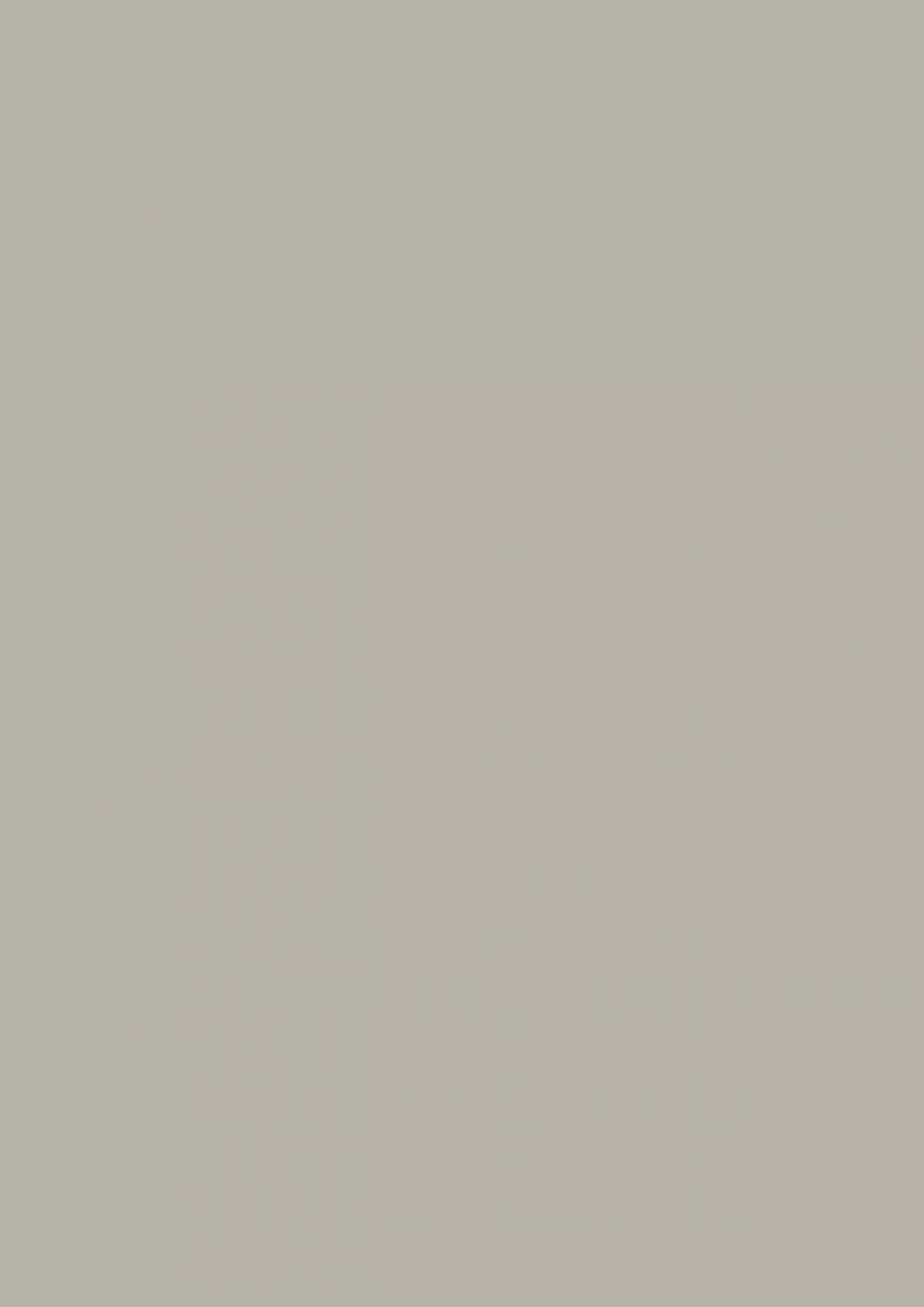 0756 Warm Grey Medium