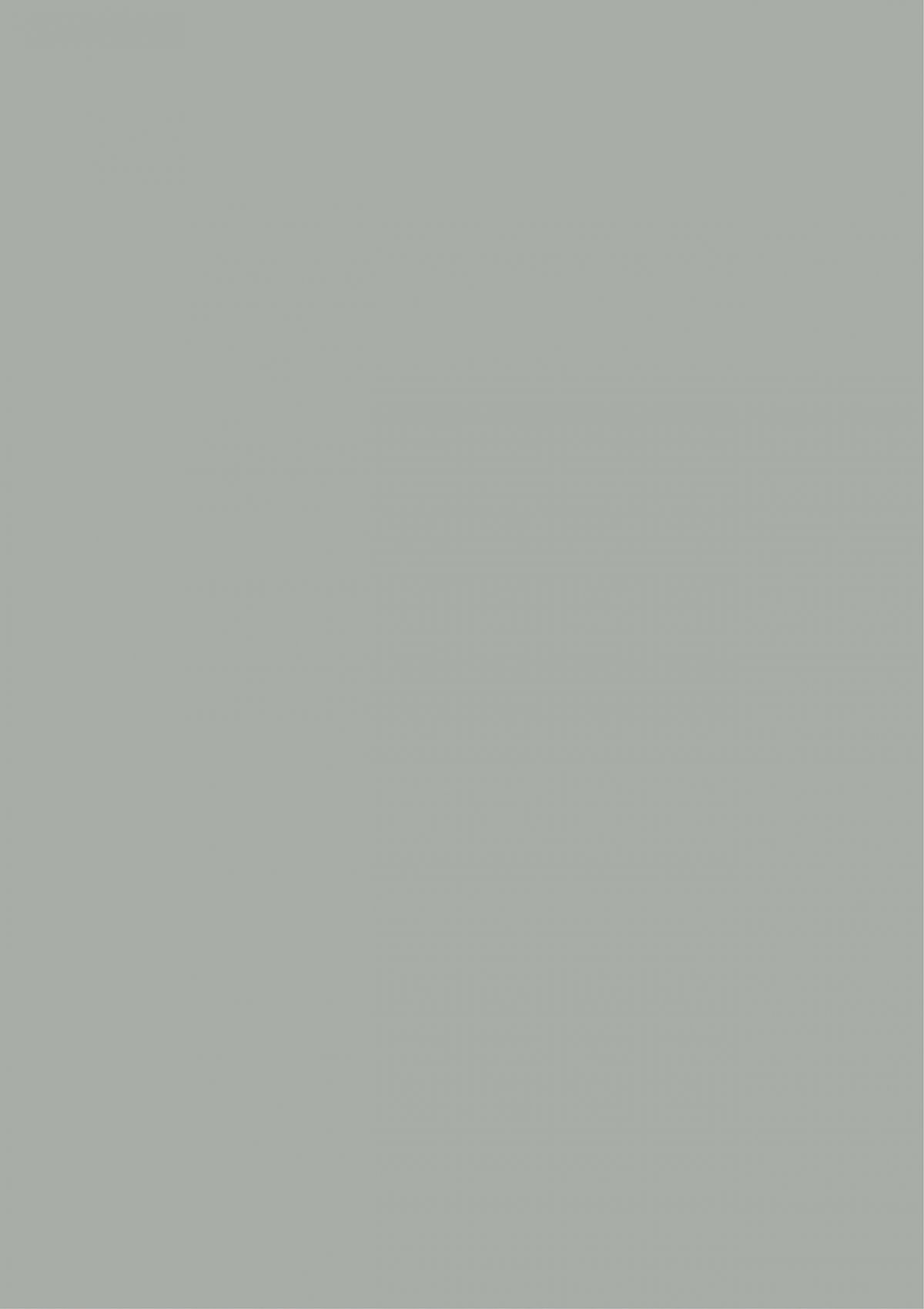 0776 Concrete Grey
