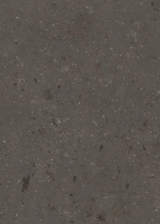 0902 Black Stingray Limestone
