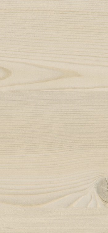 0912 Sand Lakeside Larch