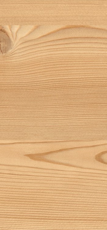 0913 Natural Lakeside Larch