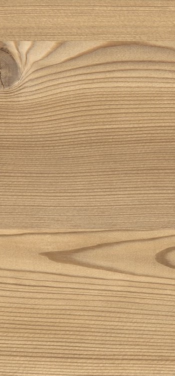 0914 Brown Lakeside Larch