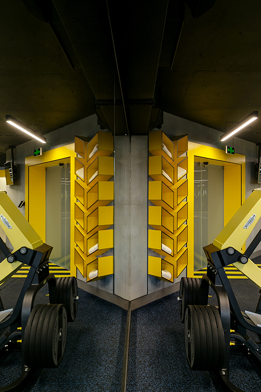 MХП GYM