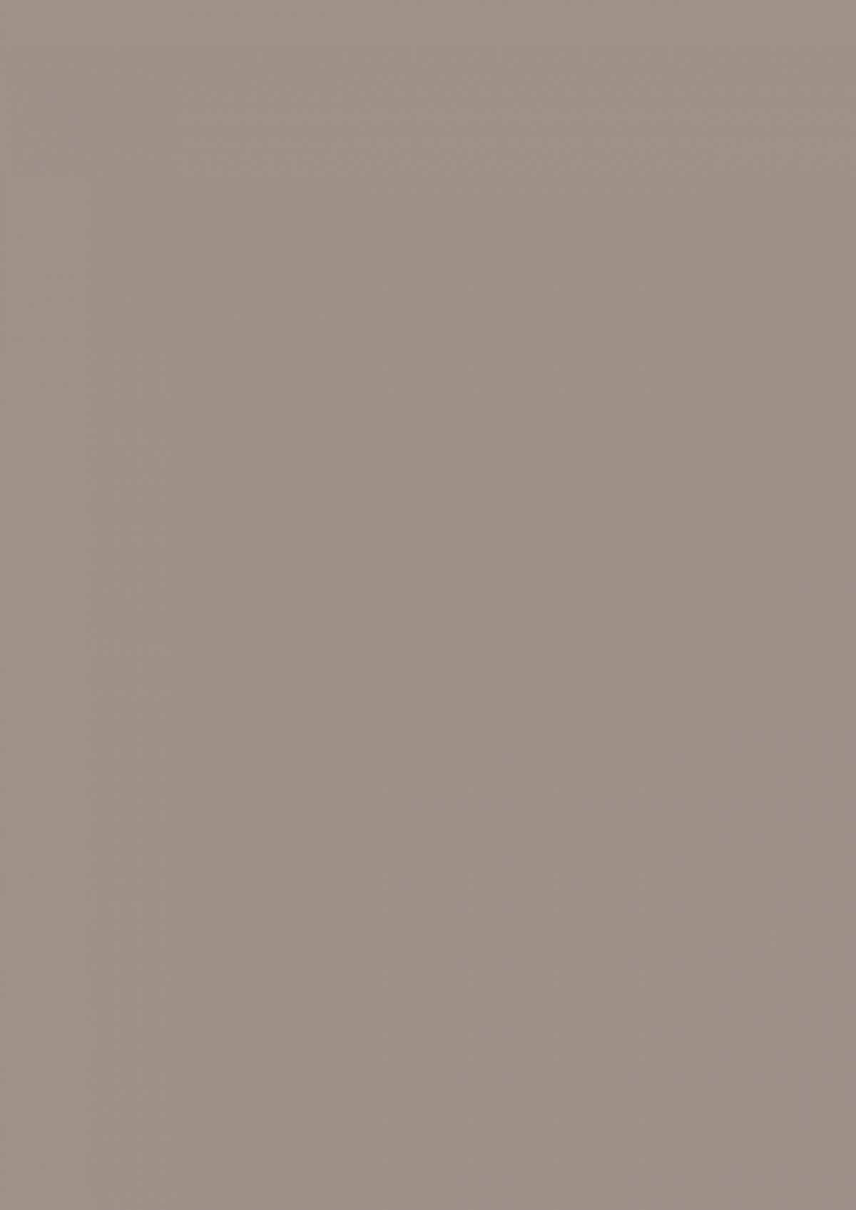2206 Fango