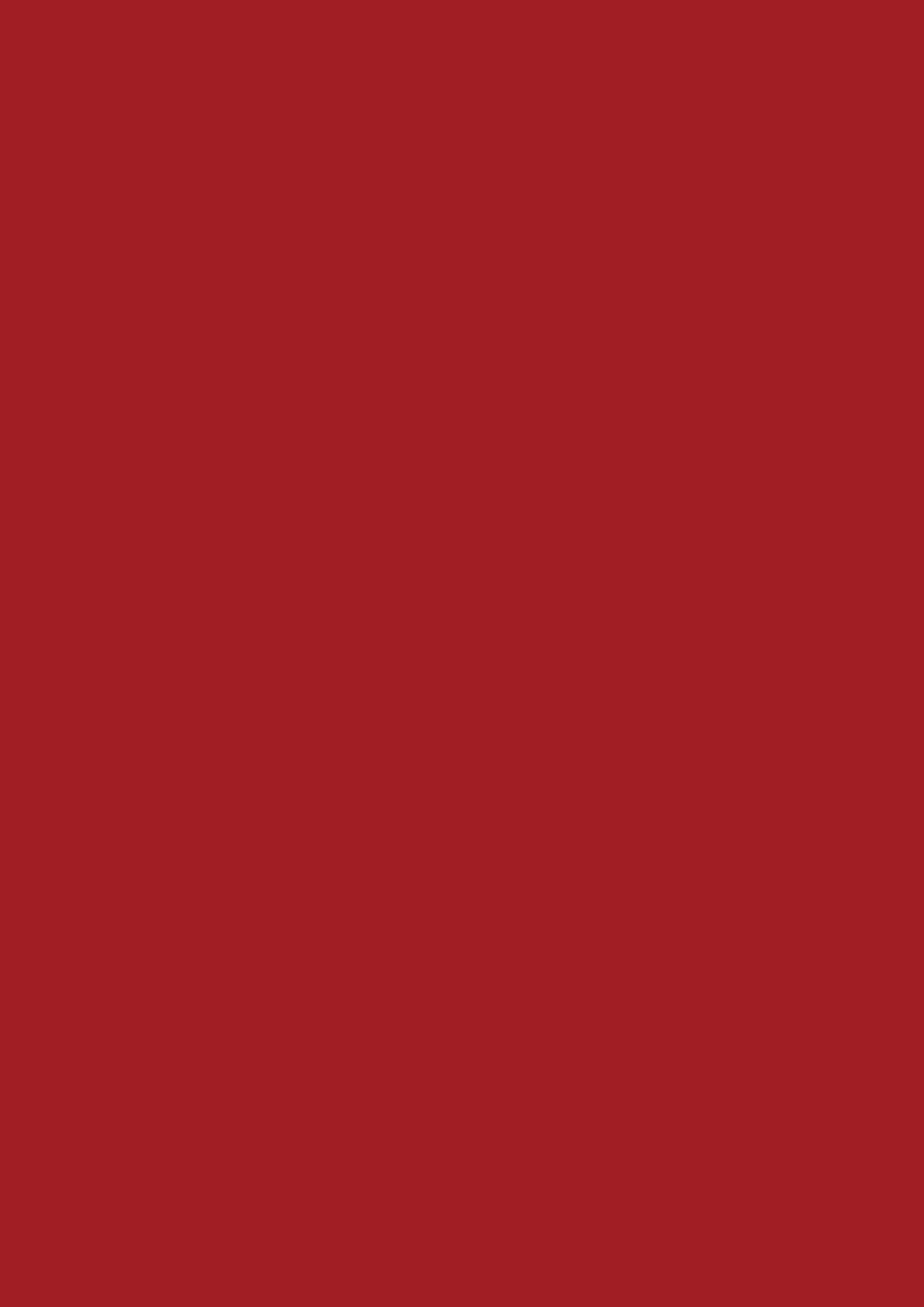 3003 Rubinus Red