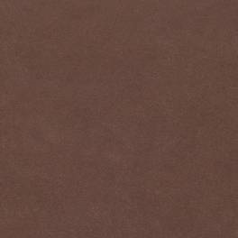 Amber 754