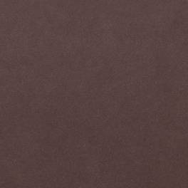 Amber 755