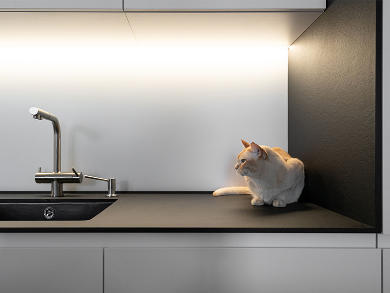 Ryzhoho kitchen