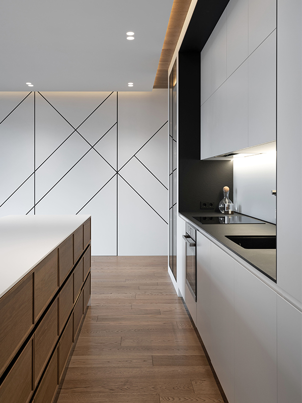 Ryzhoho kitchen