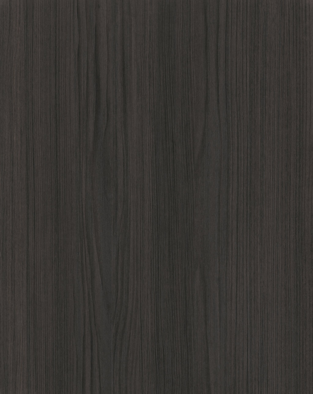 4029 Eucalipto Dark