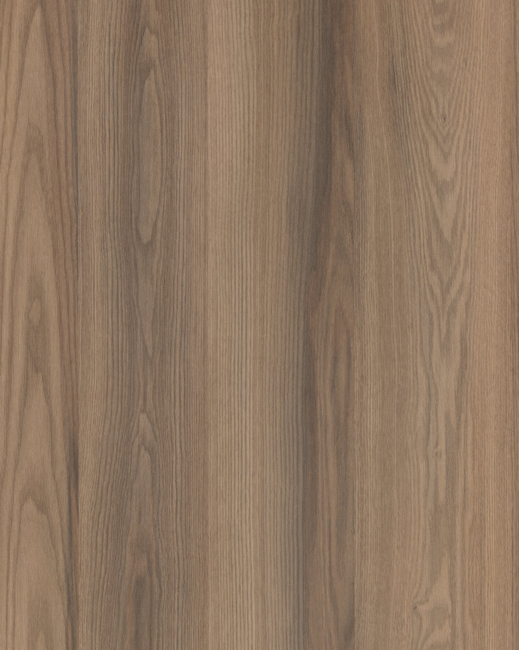4038 Rovere Jazz