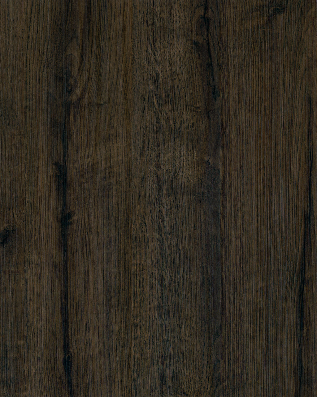 4051 Alba Oak