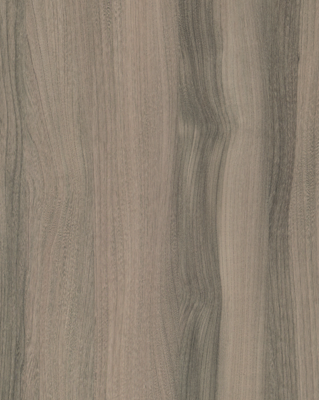 4059 Lionga Elm