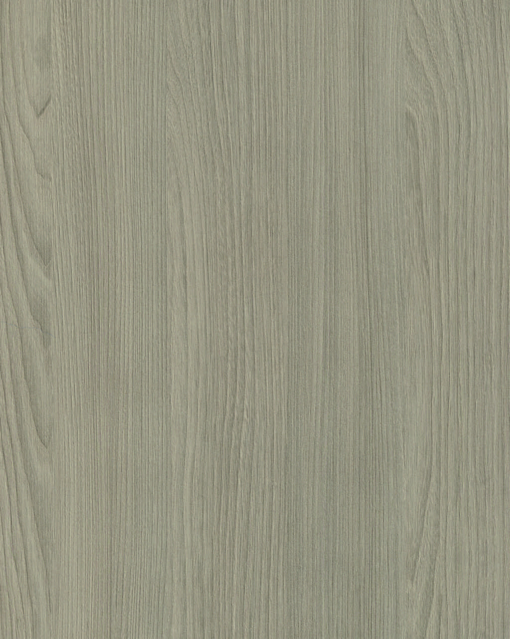 4061 Olmo Nevera