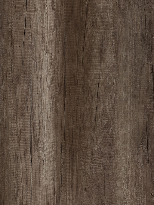 5172 Marshland Oak