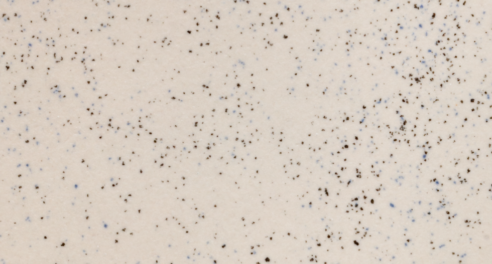 70151 Kimura beige