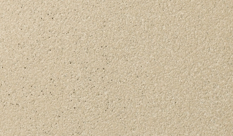 almond ferro light