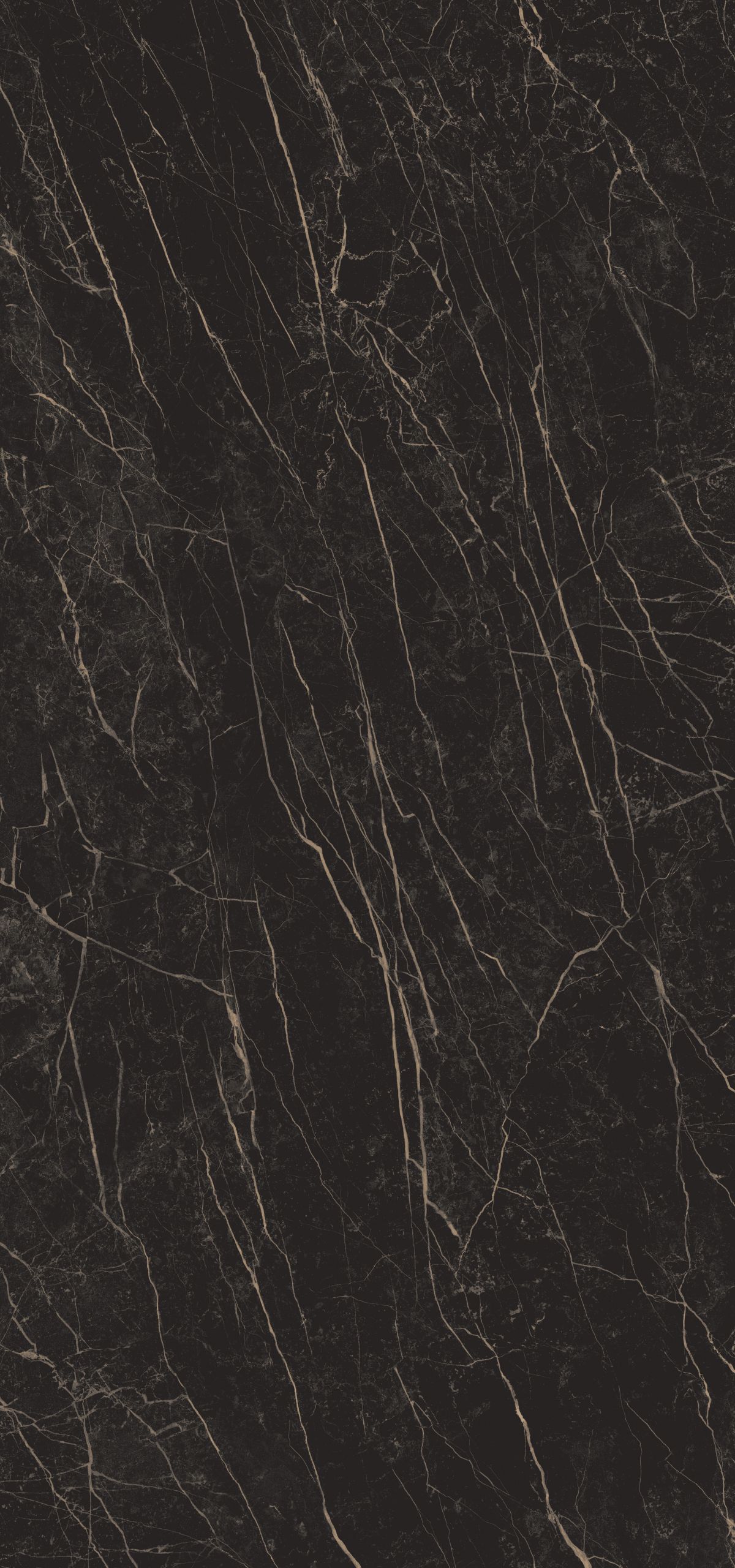Black Obsession