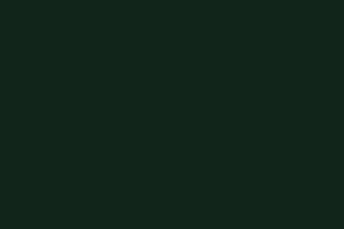 Dark green STB-487