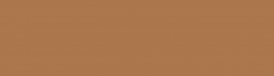 dark salmon