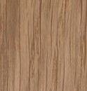 Veneer European Oak
