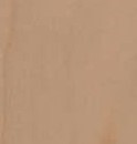 Veneer maple
